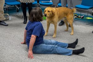 Okasna from VISTA, delivering the ACTIVE EYES workshop, a Guide Dogs is standing looking at Oksana