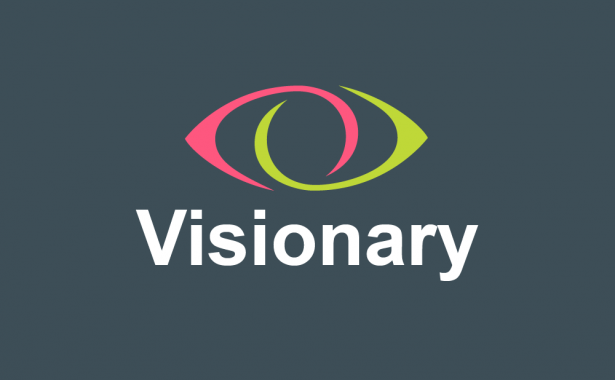 Visionary logo on a grey background. Above the word "Visionary" is a stylised eye with one section in lime green and one section in pink.